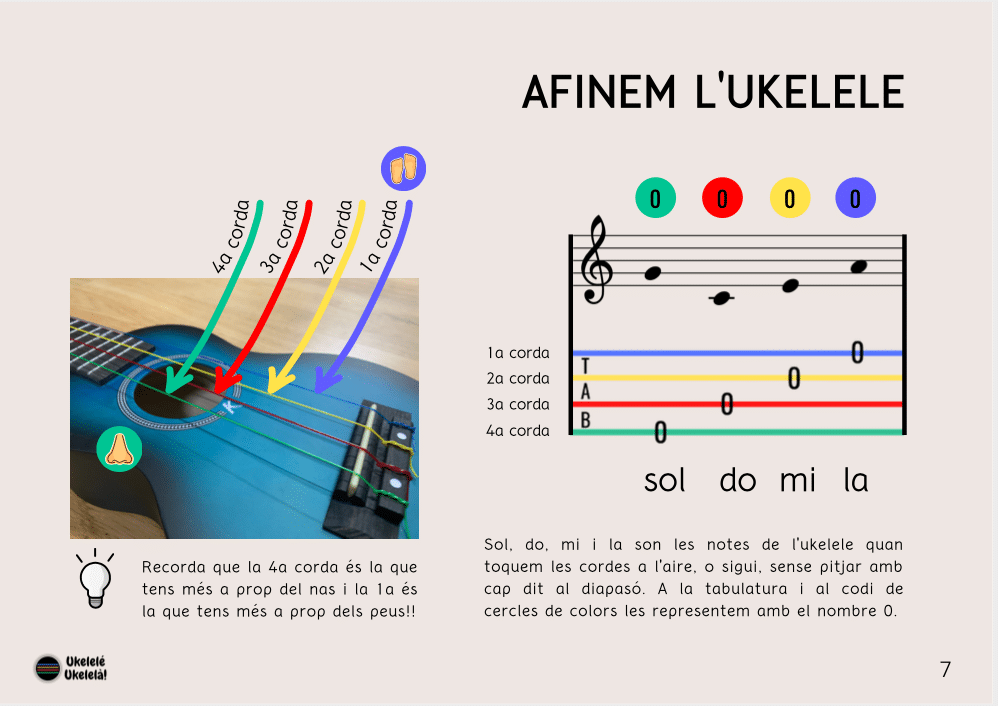 Ukelele per a mans menudes - Imatge 3
